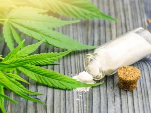 Stress Relief Potential Behind Different Cannabis Effects And Profiles